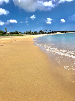 It's an endless beach on 6.5 acres of land.