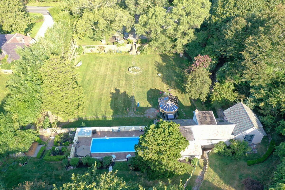 Main Image