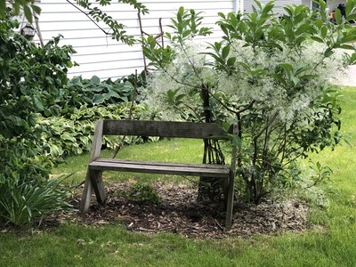 Serenity Cottage in Mineral Point