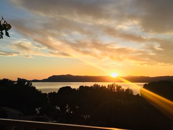 View from property