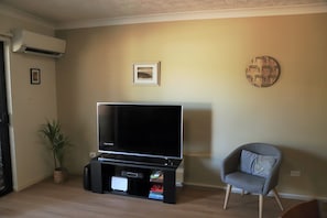 55" Smart TV with Netflix and bluetooth surround soundbar.