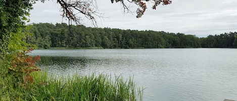 Sjö