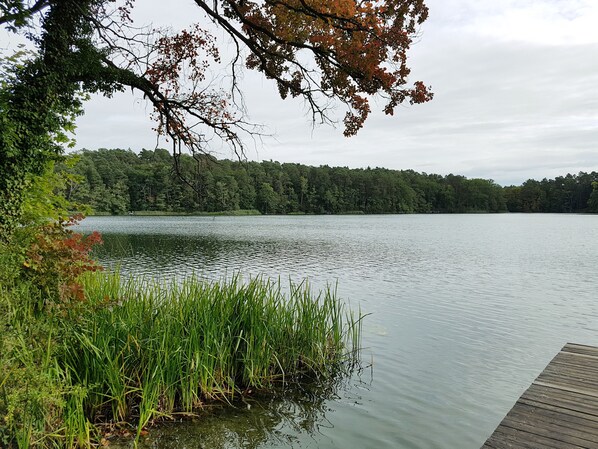 Sjö