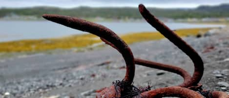 Anchors at Uncle John's Channel on the beach by The Blackfin