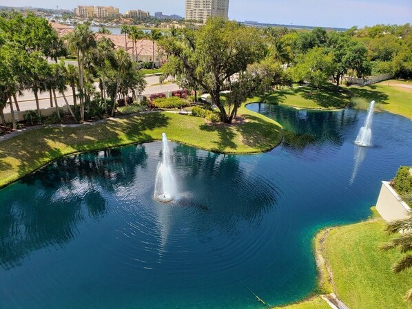 BEAUTIFUL PONDS