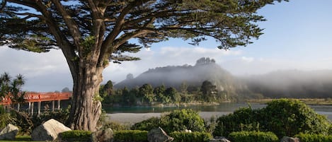 Jardines del alojamiento