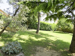 Albero, Proprietà, Erba, Prato, Paesaggio Naturale, Giardino, Cortile, Botanica, Immobiliare, Pianta