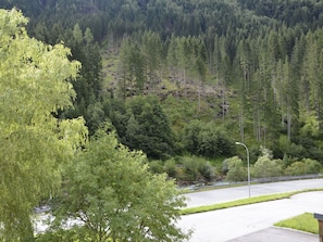 Pflanze, Pflanzengemeinschaft, Natürliche Landschaft, Lärche, Baum, Steigung, Immergrün, Berg, Ländliches Gebiet, Gras
