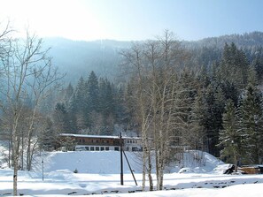 Himmel, Berg, Schnee, Pflanze, Natürliche Landschaft, Baum, Ast, Steigung, Sonnenlicht, Atmosphärisches Phänomen