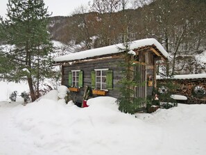 Snow, Plant, Window, Tree, Building, Slope, House, Branch, Door, Biome