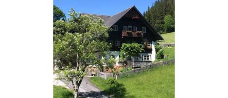 Pflanze, Himmel, Eigentum, Pflanzengemeinschaft, Baum, Natürliche Landschaft, Grundstueck, Vegetation, Gebäude, Haus