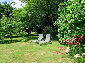 Pflanze, Blume, Pflanzengemeinschaft, Natürliche Landschaft, Schatten, Baum, Gartenmöbel, Grundstueck, Vegetation, Gehölz