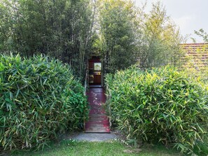Plant, Plant Community, Tree, Land Lot, Hedge, Natural Landscape, Grass, Shrub, Landscape, Woody Plant