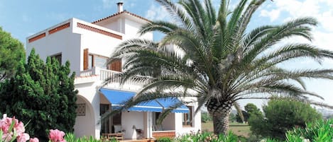 Property, House, Real Estate, Palm Tree, Building, Villa, Tree, Arecales, Home, Plant