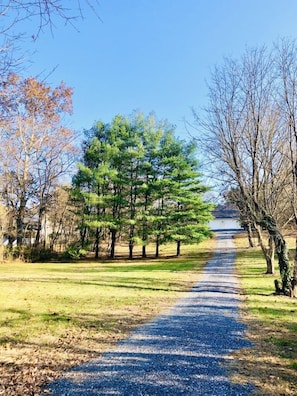 The gravel driveway up to the carriage house