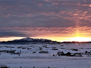 Oklassificerad bild, 5 av 15, knapp
