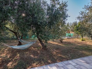 Plant, Plant Community, Tree, Shade, Land Lot, Sky, Grass, Landscape, Road, Shrub