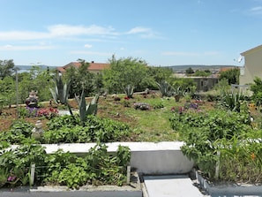 Vegetation, Garten, Wohngebiet, Eigentum, Botanischer Garten, Botanik, Pflanzengemeinschaft, Grundeigentum, Pflanze, Baum