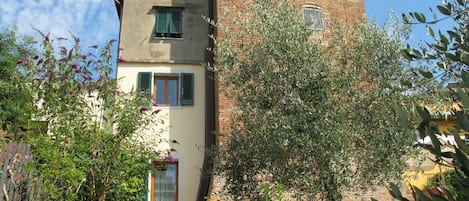 Sky, Plant, Property, Building, Window, Cloud, Flower, Flowerpot, Facade