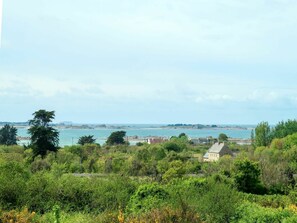 Végétation, Ciel, Environnement Naturel, Réserve Naturelle, Région Sauvage, Arbre, Nuage, Mer, Colline, Communauté Des Plantes