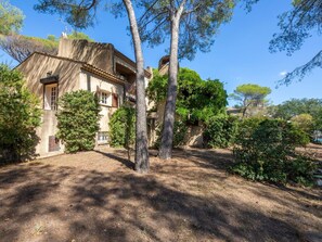 Plante, Ciel, Bâtiment, Arbre, Lot Terre, Fenêtre, Chalet, Paysage, Herbe, Arecales