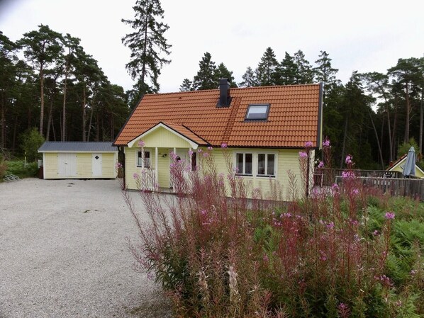 Exteriör