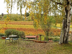 Plante, Meubles, Paysage Naturel, Arbre, Table, Branche, Lot Terre, À Feuilles Caduques, Bois