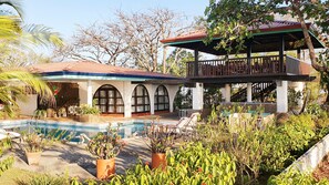 Swimming pool and gardens