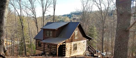 New River Cozy Cabin - Sleeps 8, including 4 twins because not everyone likes to share