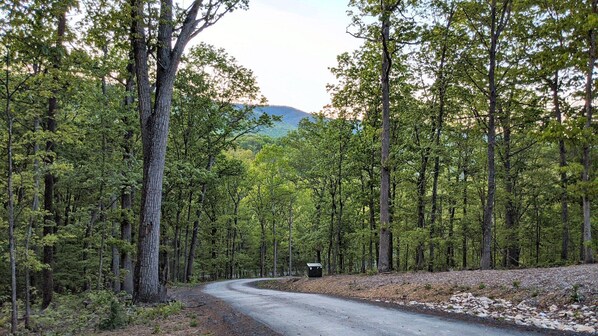 Beautiful natural scenery all around (this shot is from the parking lot of the cabin)