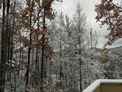 VIEW! Location Gatlinburg 2 King Bed GSMNP HotTub Secluded but close Pool table