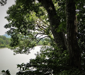 View of Lake Junaluska from the porch