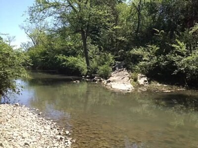 Prairie Creek Cottage-'A'-Kayaks/Fish/Creek-Sleeps 4 COTTAGE A
