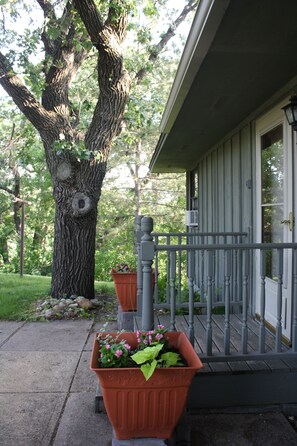 Greetings from our wooded, lakeside home.