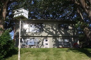 Check out the Purple Martin in their house!  Nature everywhere!