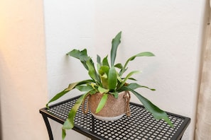 Détail de l’intérieur