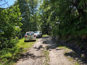 Pflanze, Auto, Fahrzeug, Kraftfahrzeug, Baum, Natürliche Landschaft, Strassenbelag, Asphalt, Automobil-Außen