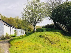 Large garden ideal for you and your dogs to explore 