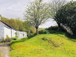 Large garden ideal for you and your dogs to explore