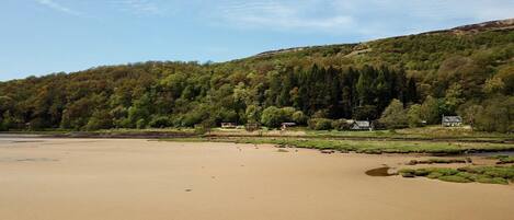 In Front of Lochead Chalet at Low Tide  