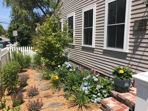 Front garden of condo