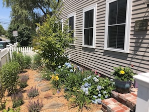 Front garden of condo