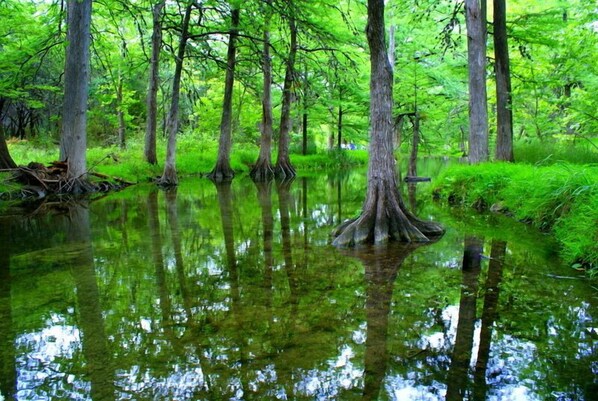 Clear water