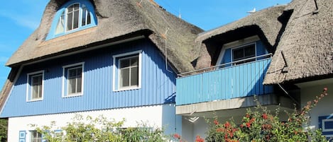 Sky, Building, Window, Property, Plant, Flower, House, Botany, Architecture