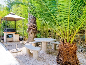 Plante, Table, Terrestre Des Plantes, Arecales, Arbre, Mobilier De Jardin, Paysage, Herbe, Ombre, Paysage Naturel