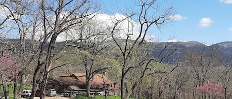 View of the Main Cabin