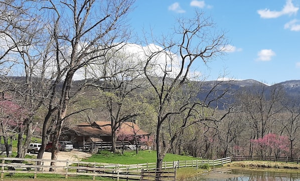 View of the Main Cabin