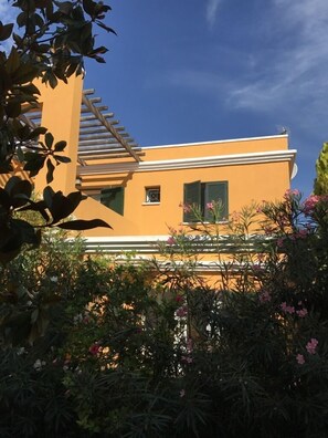 Outside View.