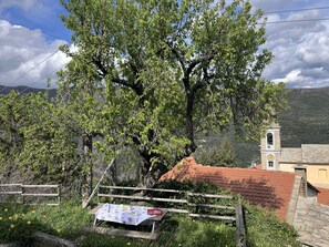 Baum, Blatt, Ast, Vegetation, Frühling, Kofferraum, Dorf