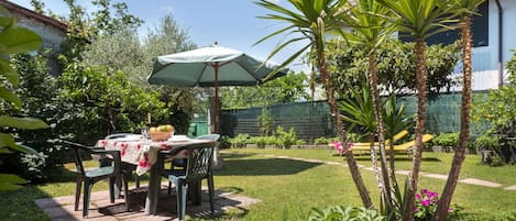 Plant, Property, Plant Community, Sky, Nature, Shade, Table, Vegetation, Arecales, Outdoor Furniture